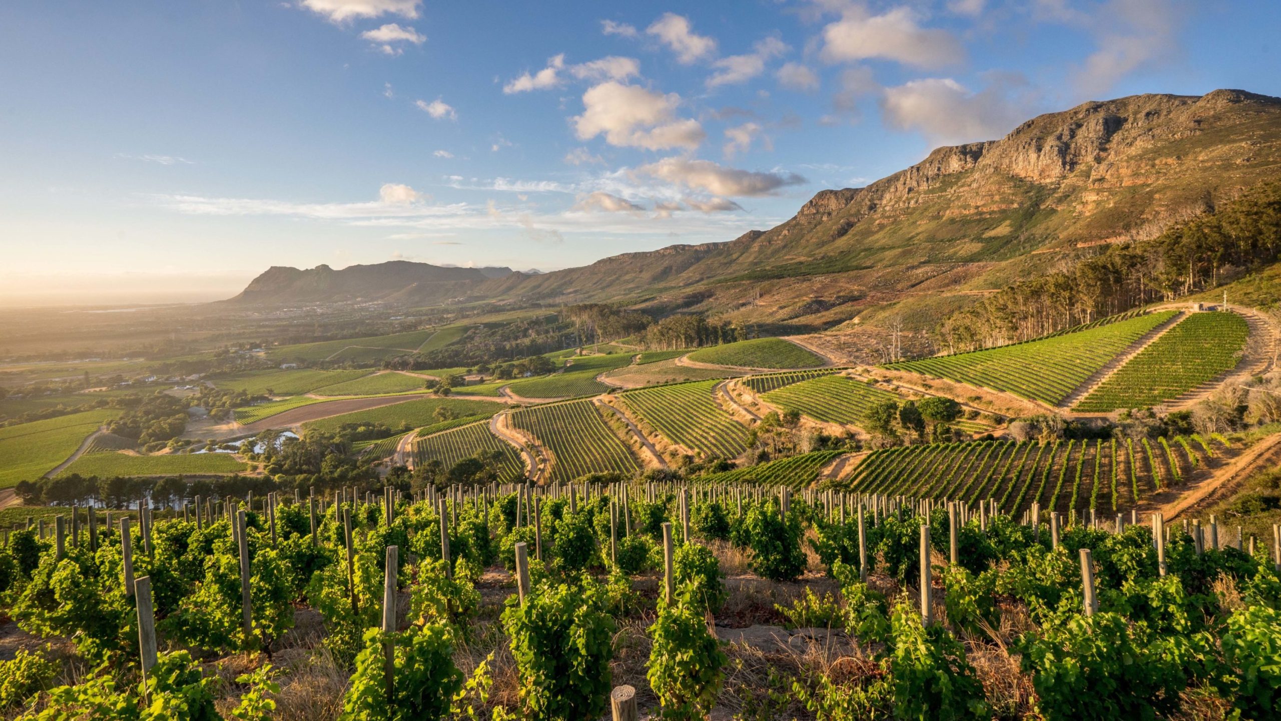 Read more about the article Visiting South Africa