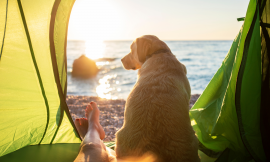 Camping Tips for Novices