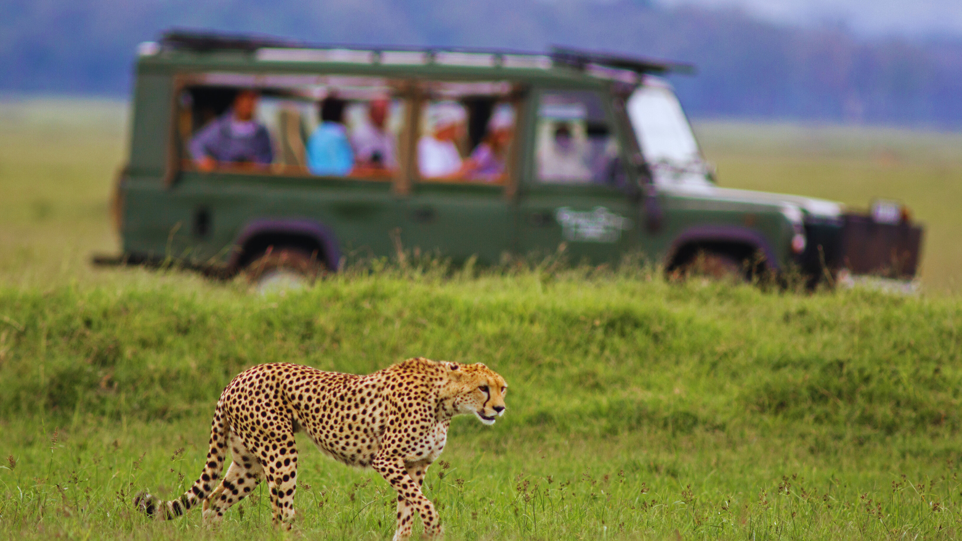 Read more about the article Best African Safaris for Adventure Seekers: Unforgettable Experiences in the Wild